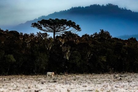 Previsão indica frio intenso e possibilidade de neve em Santa Catarina neste fim de semana