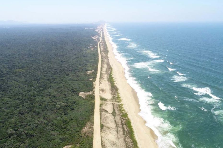 Parque Estadual Acaraí hojesc