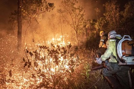 Brasil teve 11 milhões de hectares atingidos pelo fogo em 2024