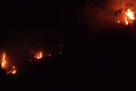 Polícia vai investigar incêndio que atingiu área de vegetação em Florianópolis