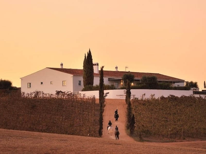 alentejo vinhos