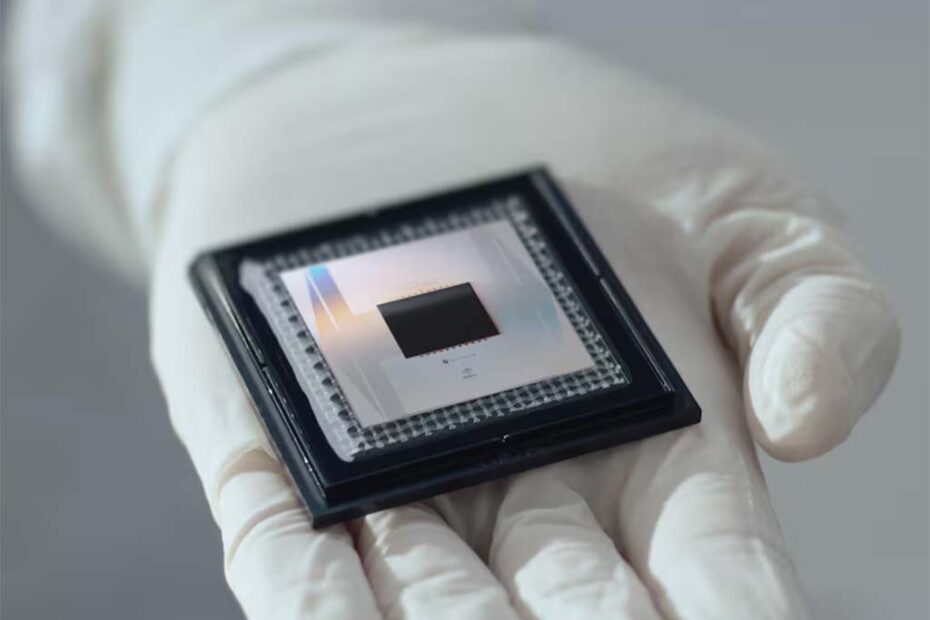 google chip quantico hojesc