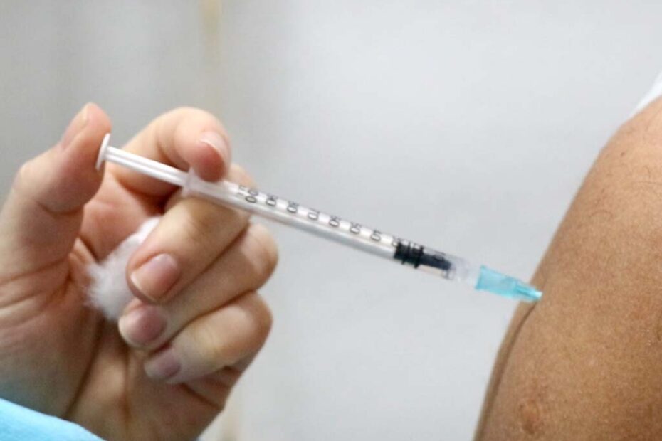 vacinacao gripe santa catarina 1