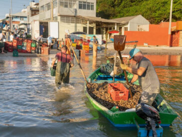 Fotógrafo Alvaro Fiore faz exposição sobre a maricultura de Bombinhas no Festival do Mar