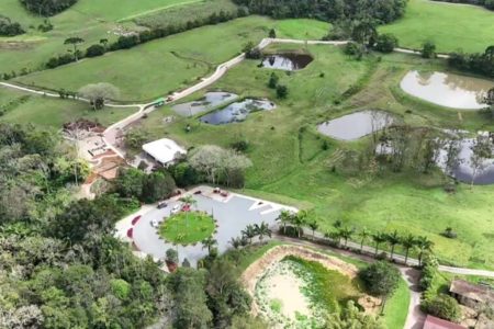 Rio do Sul ganha jardim botânico na chegada da primavera