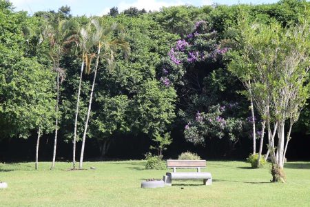 Balneário Camboriú: Quase 50 mil pessoas já visitaram o Parque Raimundo Malta em 2024