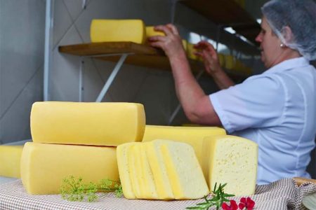 Simpósio Catarinense de Queijos Artesanais aceita trabalhos científicos até dia o 17 de outubro