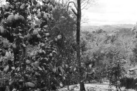 Fotografia expansiva