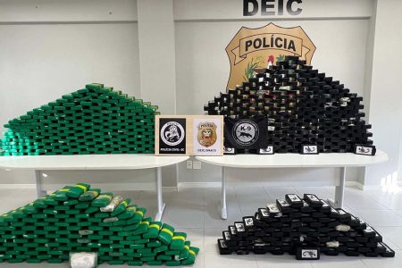 Polícia Civil apreende 700 quilos de cocaína na Grande Florianópolis