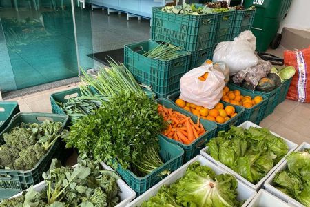 Santa Catarina fecha o mês com R$ 2 milhões em compras no Programa de Aquisição de Alimentos