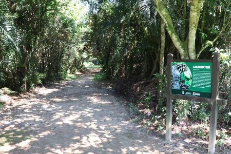 Balneário Camboriú: Secretaria do Meio Ambiente retoma atendimento ao público