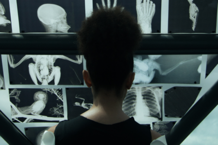 Floripa Que Horror: CIC recebe festival internacional de cinema fantástico