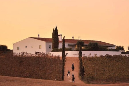 Vinhos leves e fracos