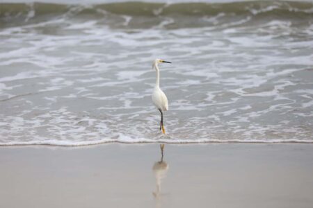 Quase 72% das praias de Santa Catarina estão próprias para banho