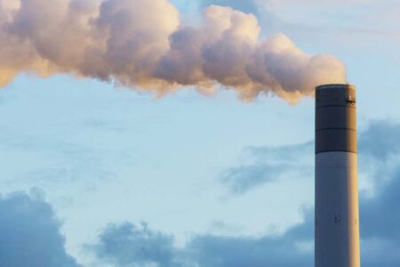 Prós e contras do mercado global de créditos de carbono