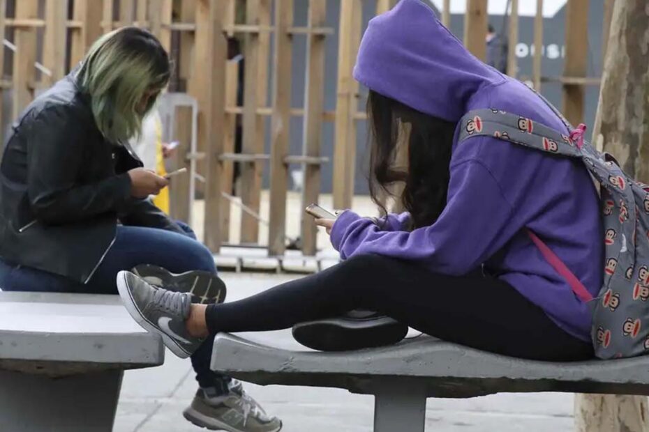 smartphone celular escolas hojesc