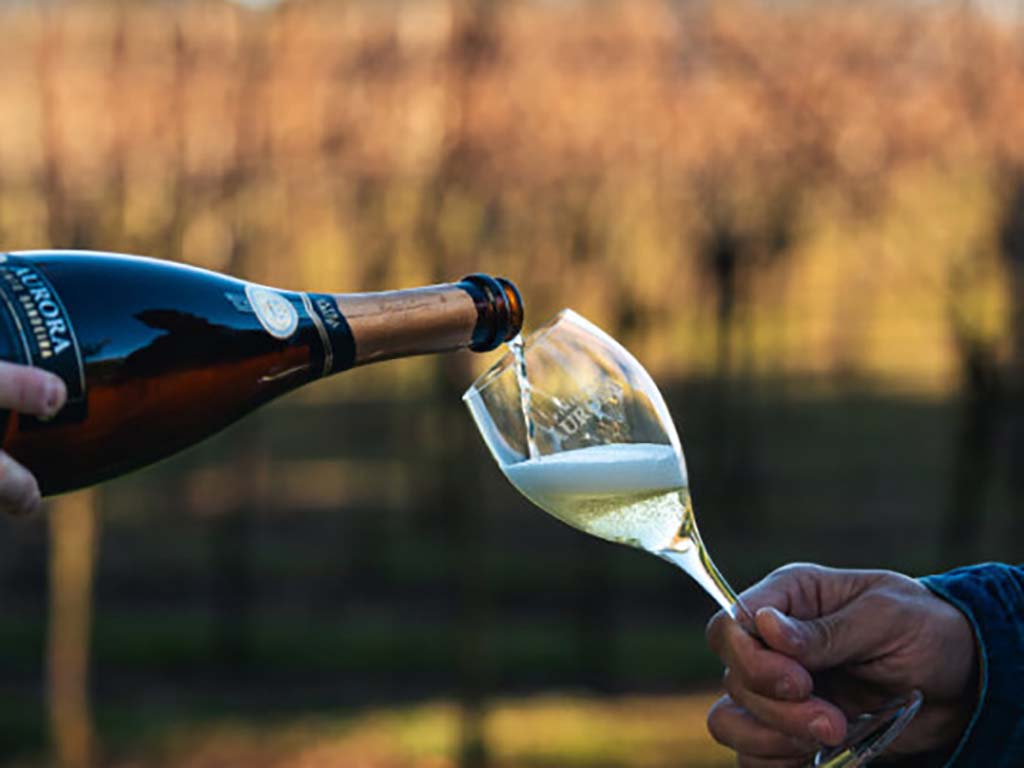 vinhos champagne alexandre teixeira hoje (1)
