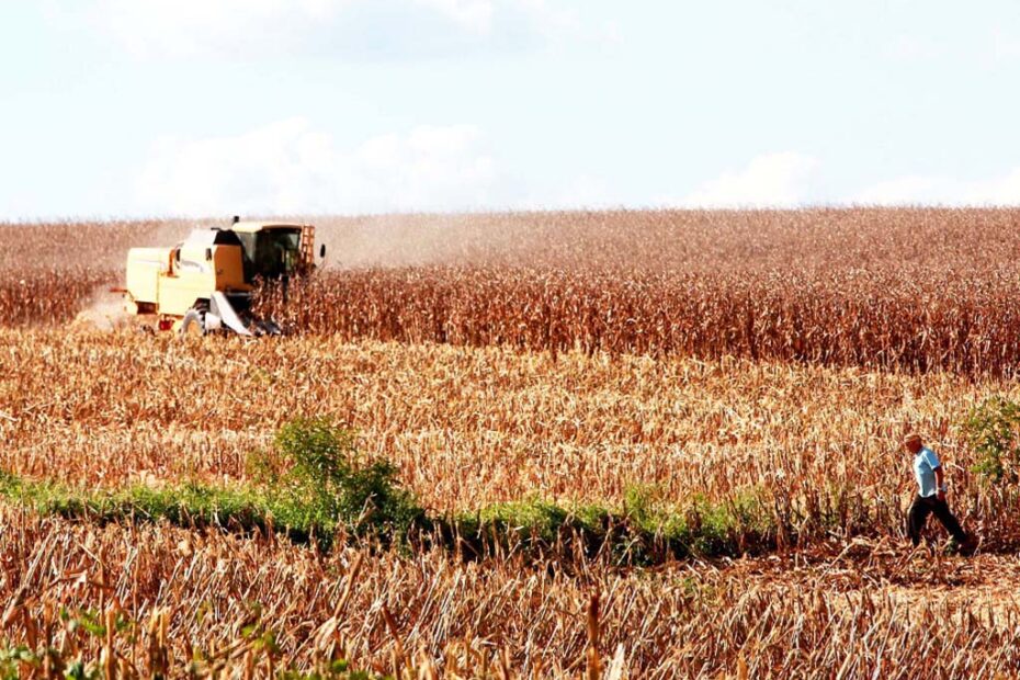 agro economia santa catarina hojesc