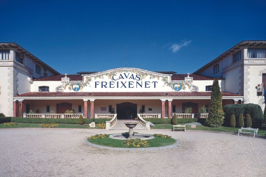 alexandre teixeira - freixenet cavas