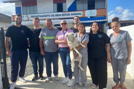Navegantes cria a primeira secretaria exclusiva de cuidado animal de Santa Catarina