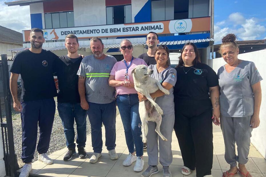 bem estar animal navegantes hojesc