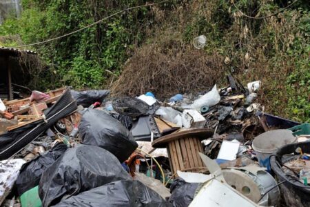 Blumenau: equipe de combate à dengue recolhe 48 toneladas de entulho no bairro Tribess