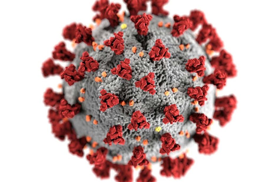 coronavirus covid-19 cdc hojesc