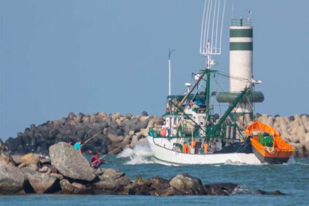 Itajaí: inscrições para temporada de pesca da Tainha 2025 terminam neste domingo (26)