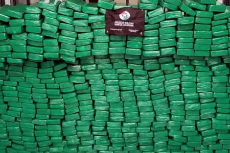 Polícia de SC apreende quase 8 toneladas de drogas nas rodovias estaduais em 2024