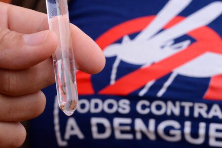 Bebê de seis meses é o primeiro caso de chikungunya de Garopaba
