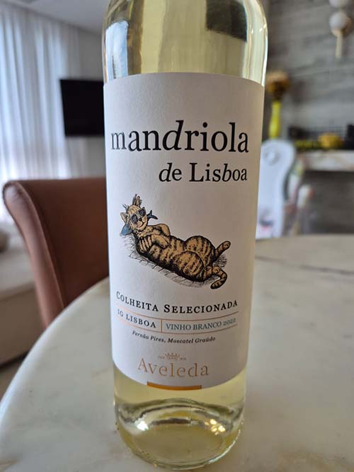 mandriola de lisboa vinho