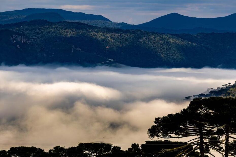 urubici santa catarina hojesc