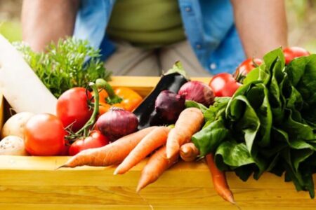 Encontro ‘Estratégia Alimenta Cidades Joinville’ está com inscrições abertas