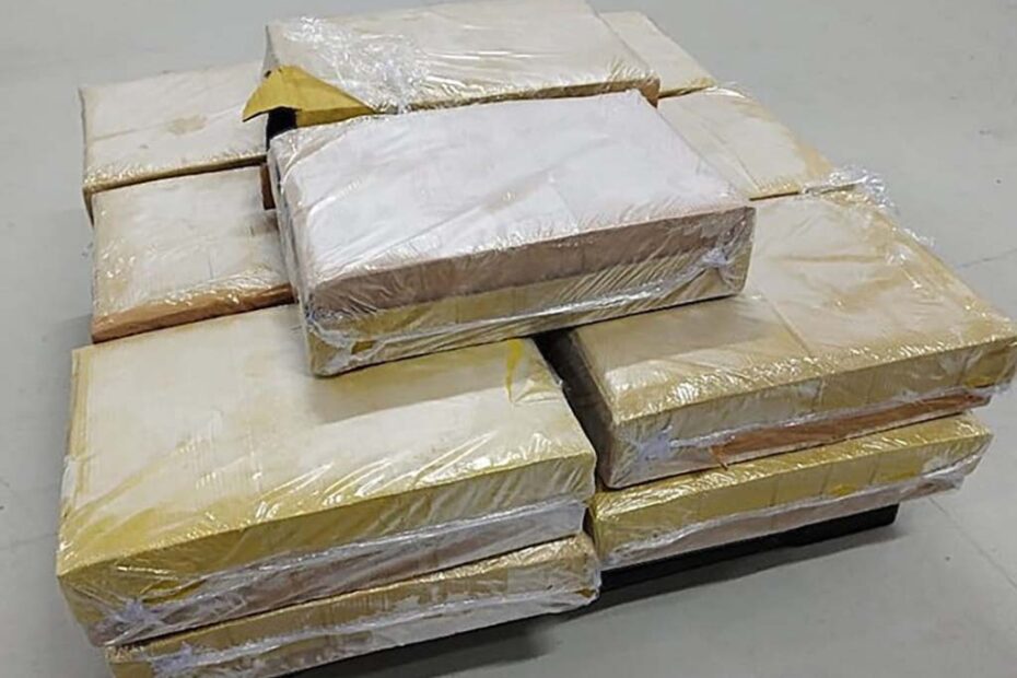 cocaina alimentos congelados santa catarina