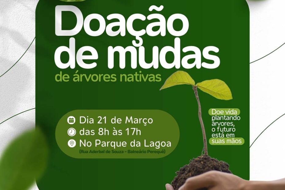doacao mudas arvores porto belo hojesc
