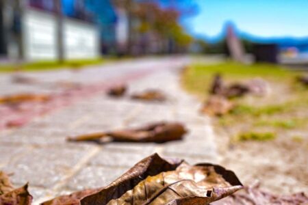 Outono em Santa Catarina tem previsão de temperaturas acima da média