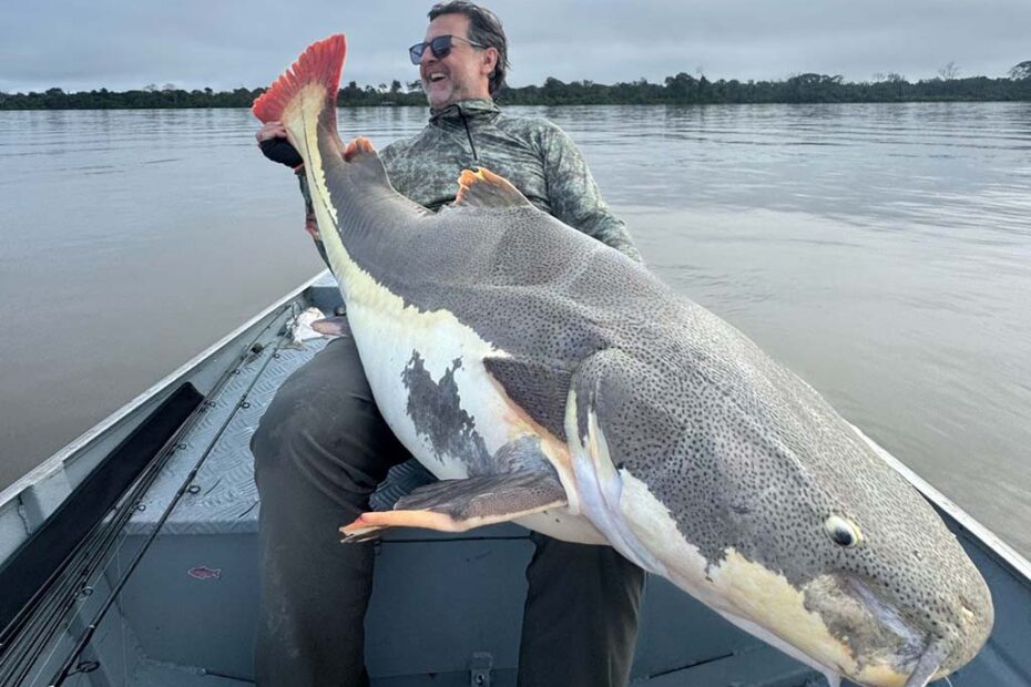 peixe