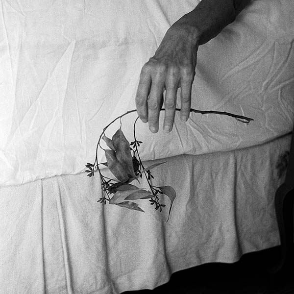 Imagem do livro “O Cordão Que Nos Corta”, de Juliana Corsi (Divulgação Vento Leste)