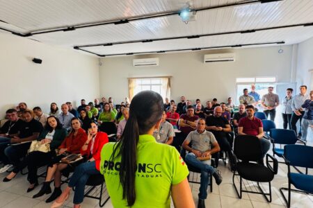 Procon apresenta projeto para limpar e fiscalizar postes de energia em SC
