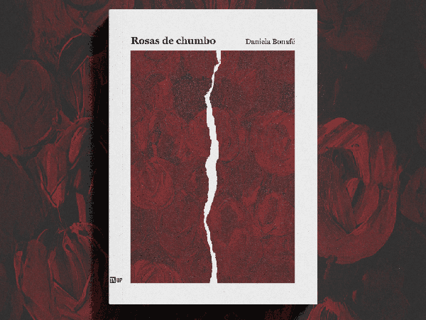rosas de chumbo Daniela Bonafé livro-se