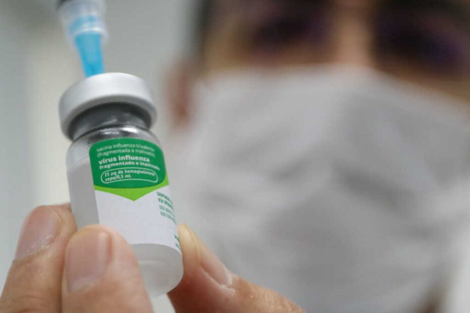 vacinacao gripe santa catarina 2025