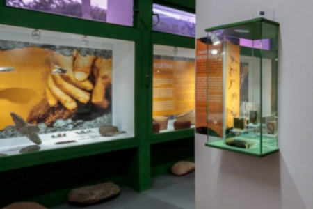 Semana Nacional de Museus tem programação variada em Joinville