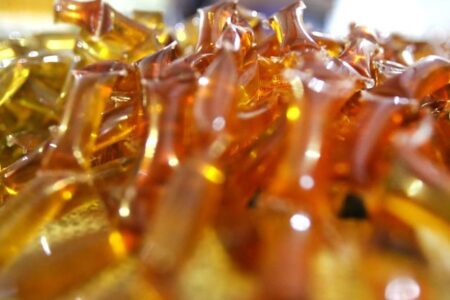 Florianópolis: Feira do Mel reúne produtores catarinenses em junho