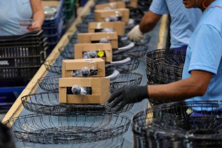 Atividade econômica de Santa Catarina cresce quase 8% no primeiro trimestre