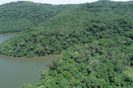 Santa Catarina reduziu em 12% o desmatamento da Mata Atlântica