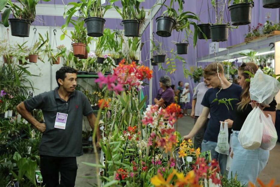 Mercado de Plantas joinville 2025