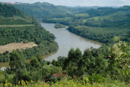 Oeste de Santa Catarina ganha programa de restauração de áreas em propriedades rurais
