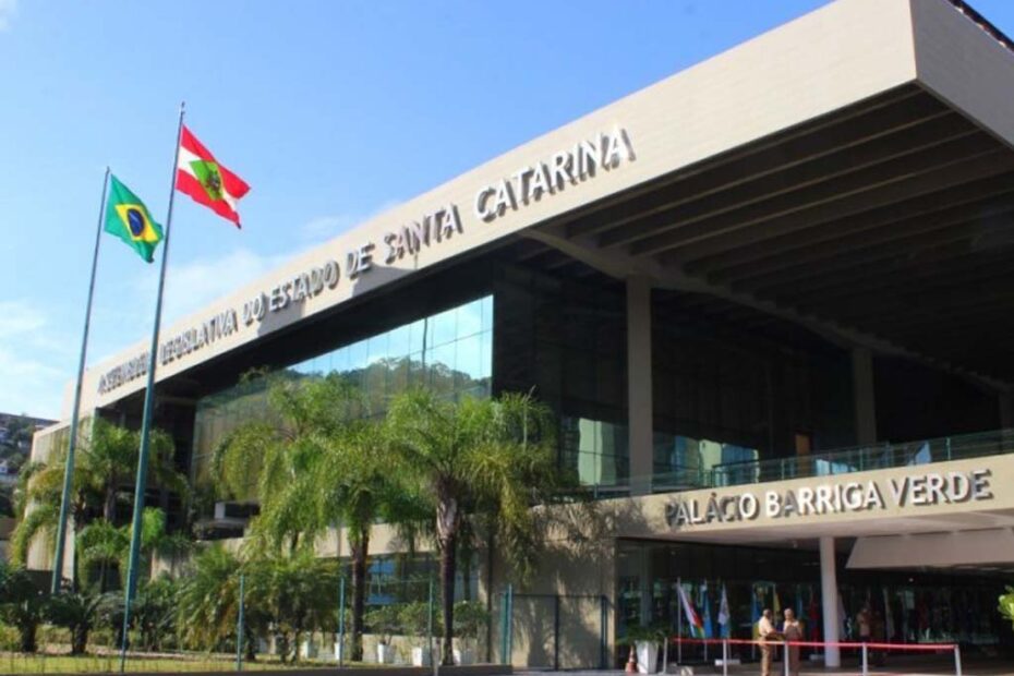 alesc palacio barriga verde 1