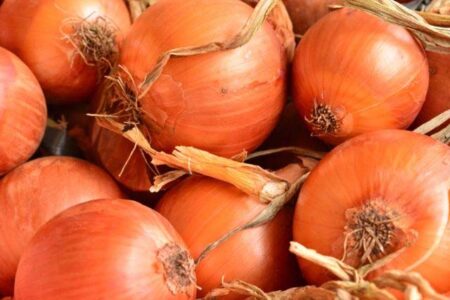 Alface e tomate caem no atacado catarinense; Safra de SC derruba preço da cebola