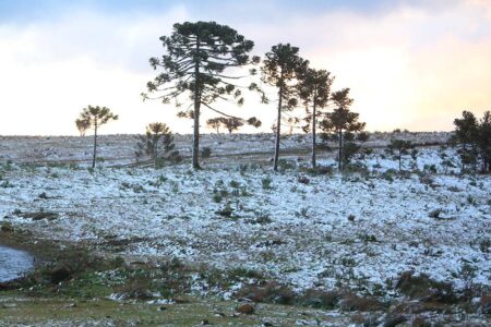 Defesa Civil de SC mantém possibilidade de neve para esta quinta (29)